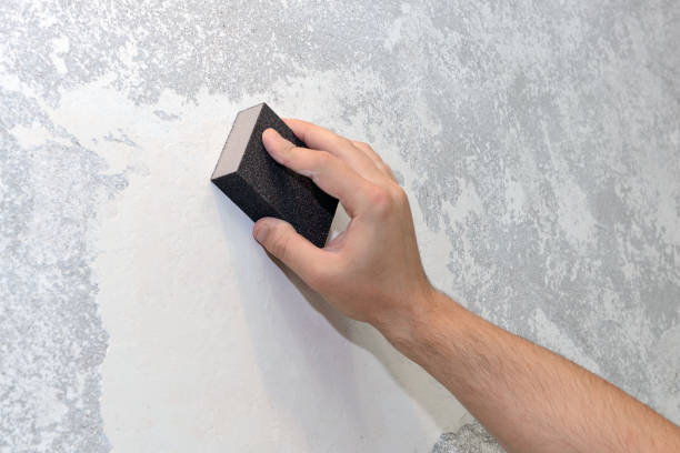Best Crawl Space Mold Remediation  in Clemson University, SC