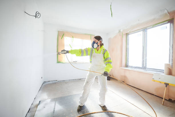 Trusted Clemson University, SC Mold Removal Experts