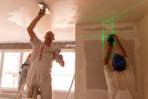 Best Mold Documentation for Insurance Claims  in Clemson University, SC