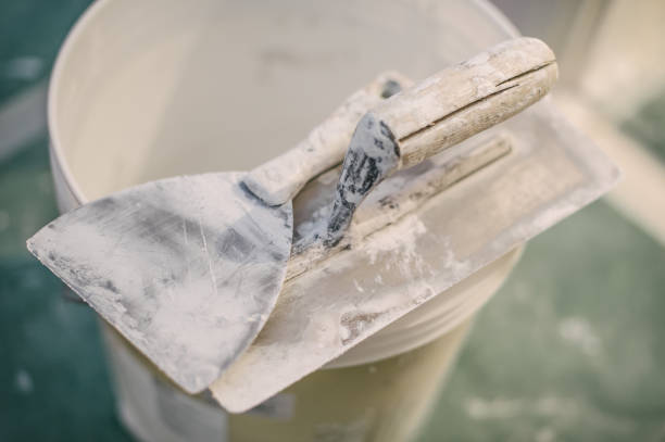 Best Mold Damage Restoration  in Clemson University, SC