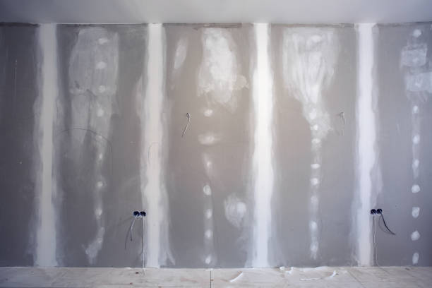 Best Post-Construction Mold Inspection  in Clemson University, SC
